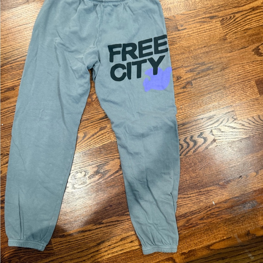 Freecity Gray Joggers with Purple Accent
